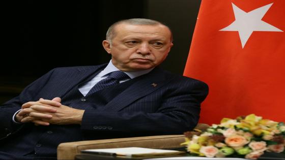 اجتماع أردوغان ورئيس وزراء السلفادور يثير التكهنات بشان اعترافه بالبيتكوين