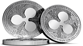 “الأوراق المالية والبورصات الأمريكية” تعين رئيسا جديدا للتعامل مع قضية ريبيل